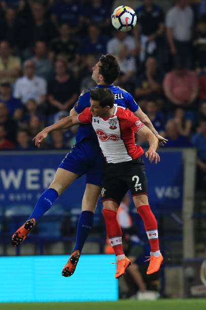 甚至不排除 甚至不排除