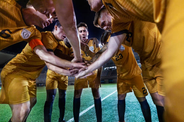 与此同时 与此同时