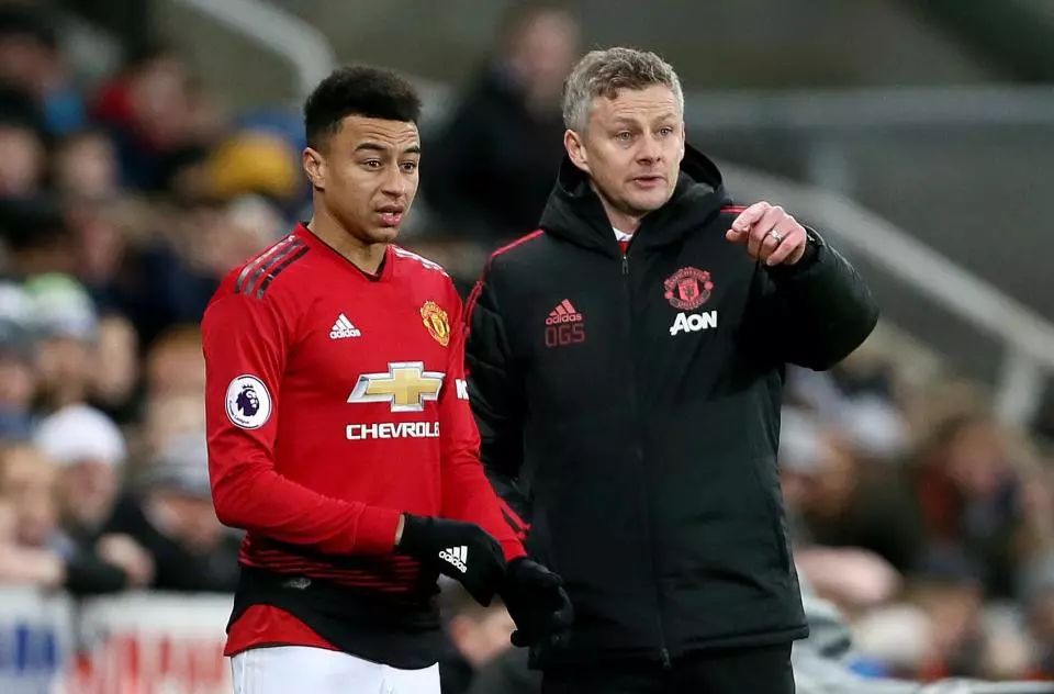 才能完全适 才能完全适